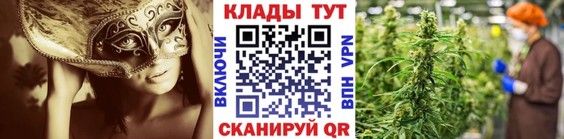 Виды наркотиков купить Уяр Канабис